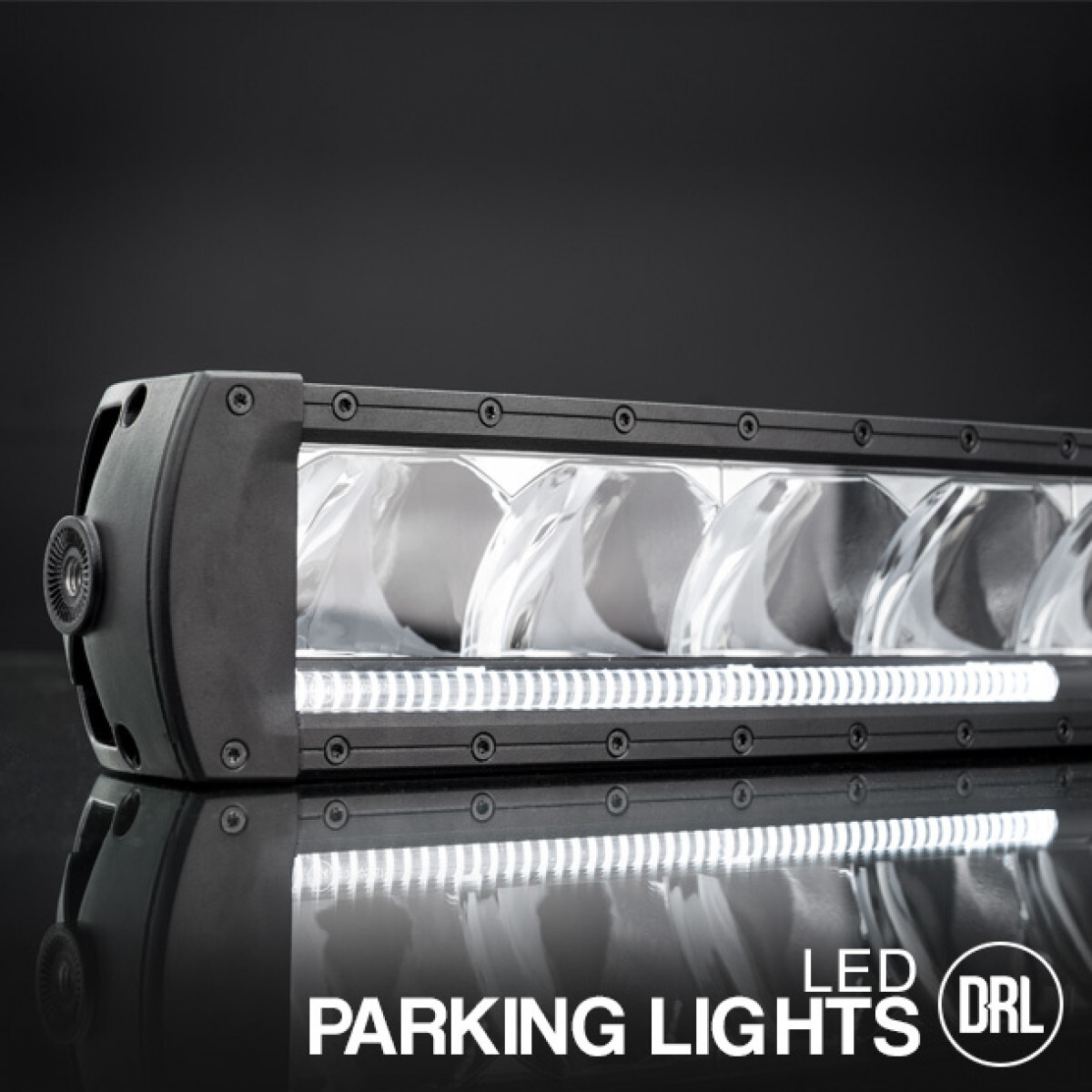 Stedi 31" ST2K 12 LED Curved Super Drive LED Light Bar