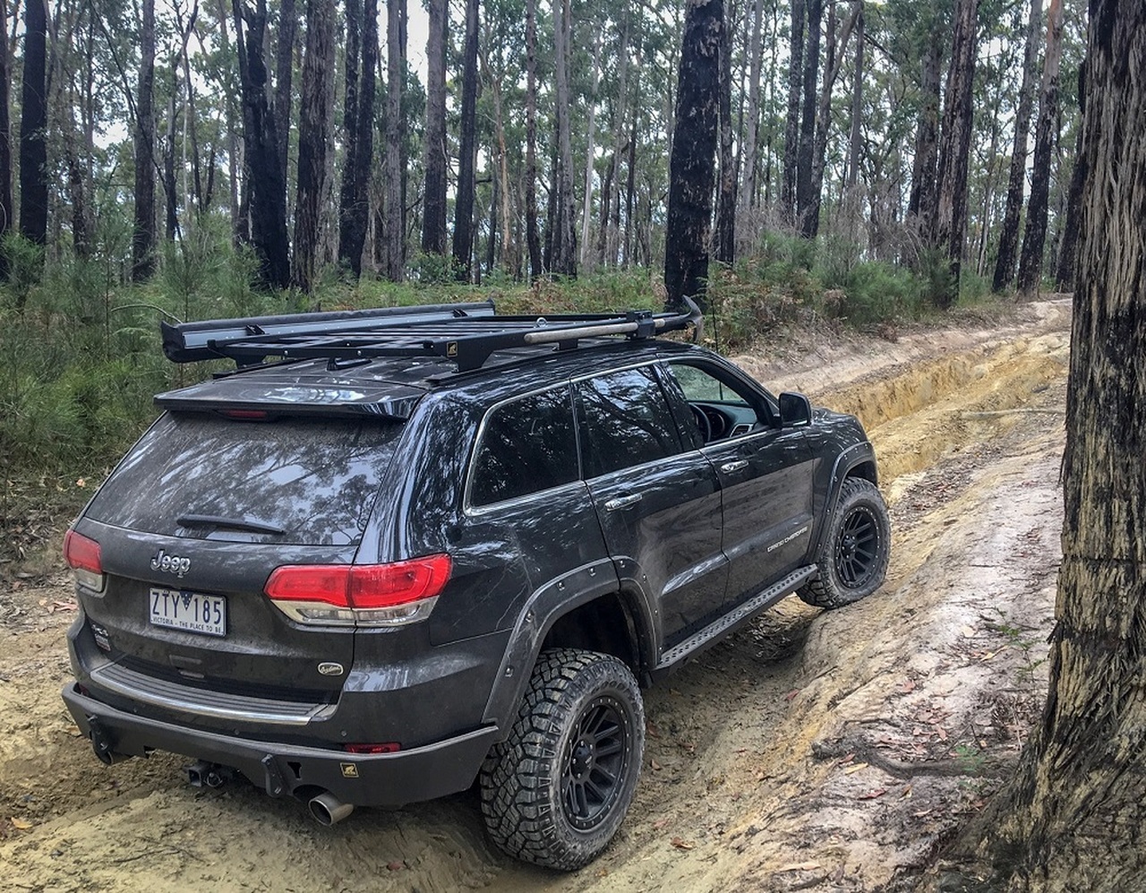 Offroad Animal Rear Bumper Jeep Grand Cherokee WK2 (2011