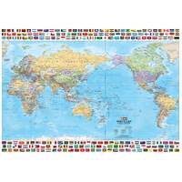 World & Flags Wall Map