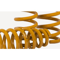 Tough Dog Rear Coil Springs - Nissan Pathfinder R51