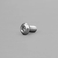 Stedi Anti-Theft Security Bolt