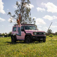 Suzuki Jimny Short Entry Stainless Snorkel