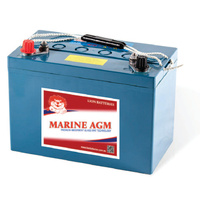 Lion Premium 100AH AGM Deep Cycle Battery
