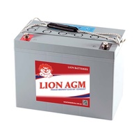 Lion Premium 120AH AGM Deep Cycle Battery