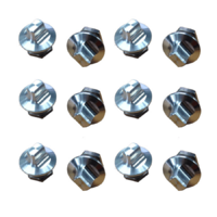 Maxtrax Replacement Teeth Repair Kit [Qty: 12pk]