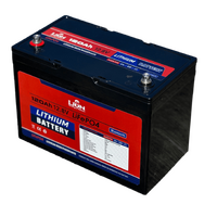 Lion LiFePo4 12V 120AH Lithium Battery with Bluetooth