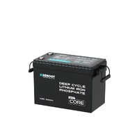 Renogy Core Mini 200ah LiFePO4 Battery