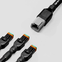 STEDI 9 Plug Array Harness