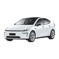 Snap Shades Car Window Shades - Tesla Model Y L