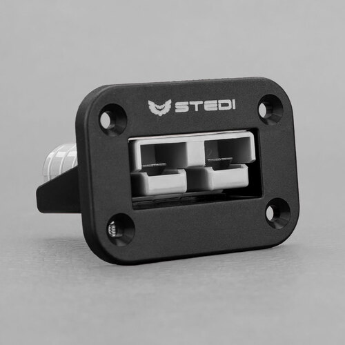 Stedi Anderson Plug Flush Mount 