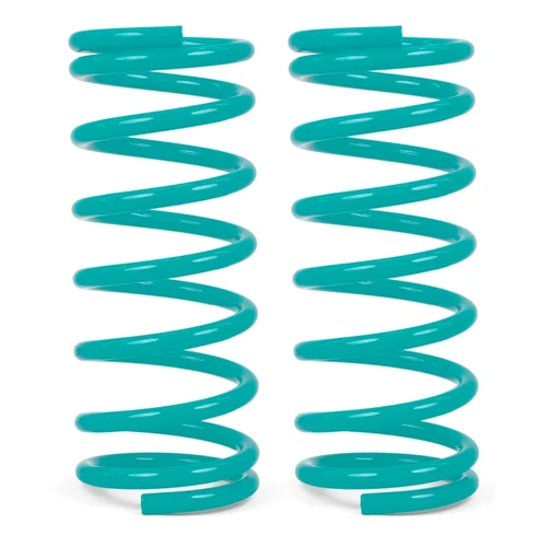  COIL SPRING PAIR - Patrol Rear 